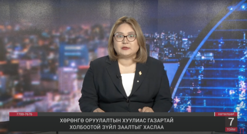 Баялагийн сангийн тухай хуулийн төслийн хэлэлцүүлгийн явцаас их хурлын гишүүдийн зэс цухуйна